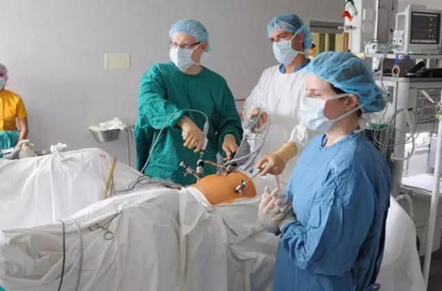 © Eimanto CHACHLOVO nuotr.